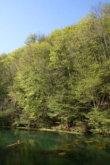 Quellbecken des Ermsursprungs