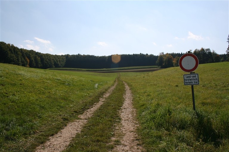 b10.jpg