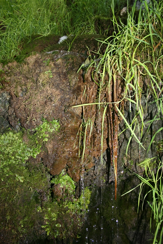 b5.jpg