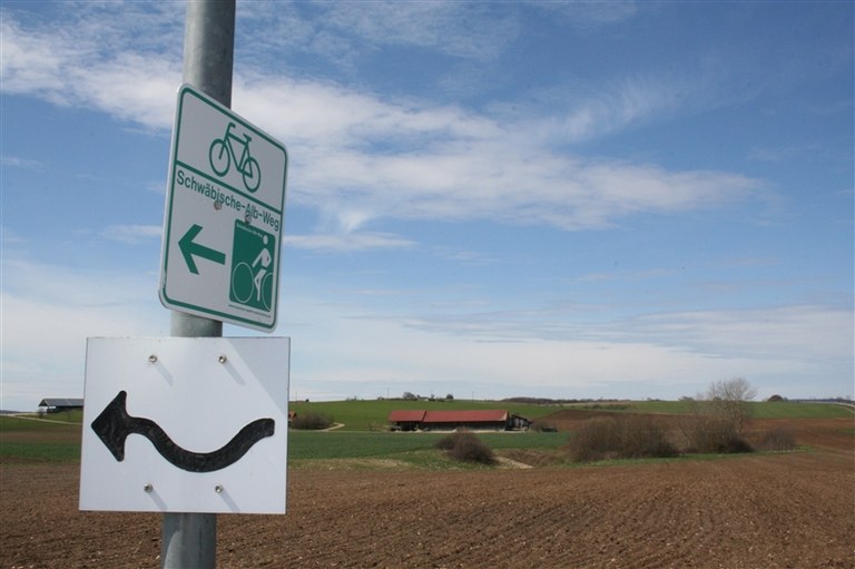 b8.jpg
