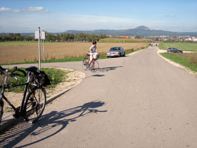 Blick vom Lehrpfad zum Hohenstaufen