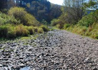 Donauversickerung in Richtung Westen