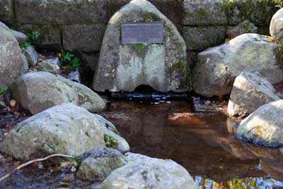 Bregquelle bei Furtwangen