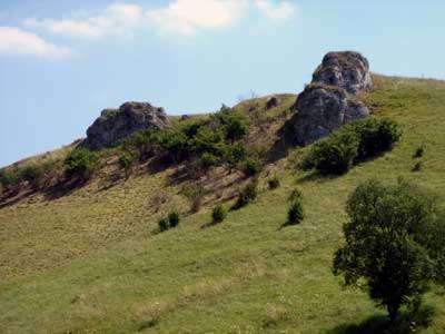 Der Riesenkopf/Kalkstein bei Undingen