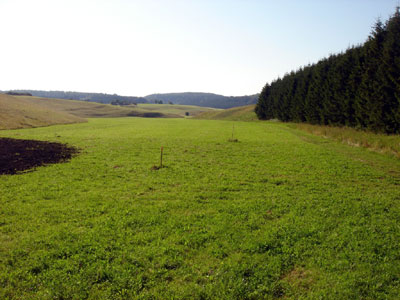 Großes Rinnental bei Undingen