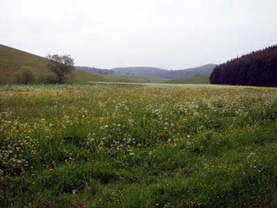 Großes Rinnental bei Undingen