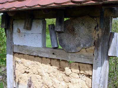 Wildbienenstand