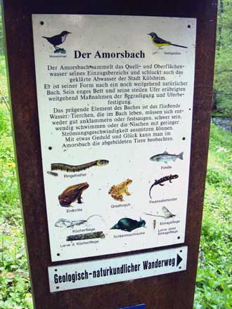 Infotafel zur Fauna am Amorsbach