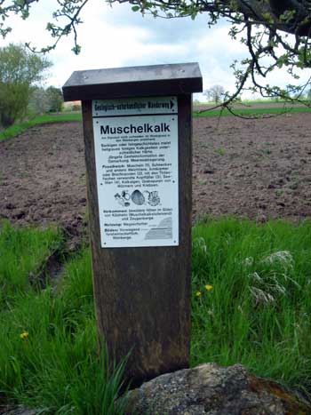 Infotafel zum Muschelkalk