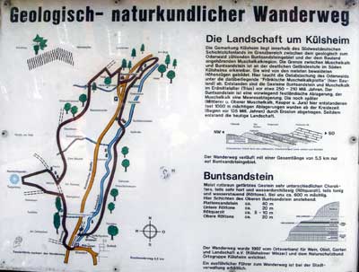 Saurierwanderweg Külsheim