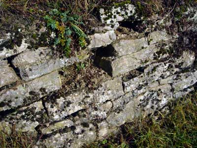 Muschelkalkmauer in Lauda (Main-Tauber-Kreis)