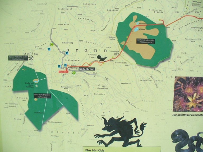 b3.jpg
