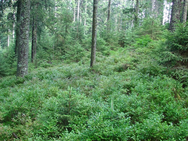 b43.jpg