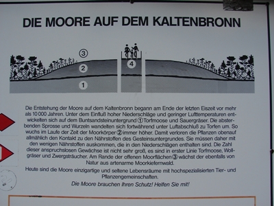 Infotafel Aufbau eines Hochmoors