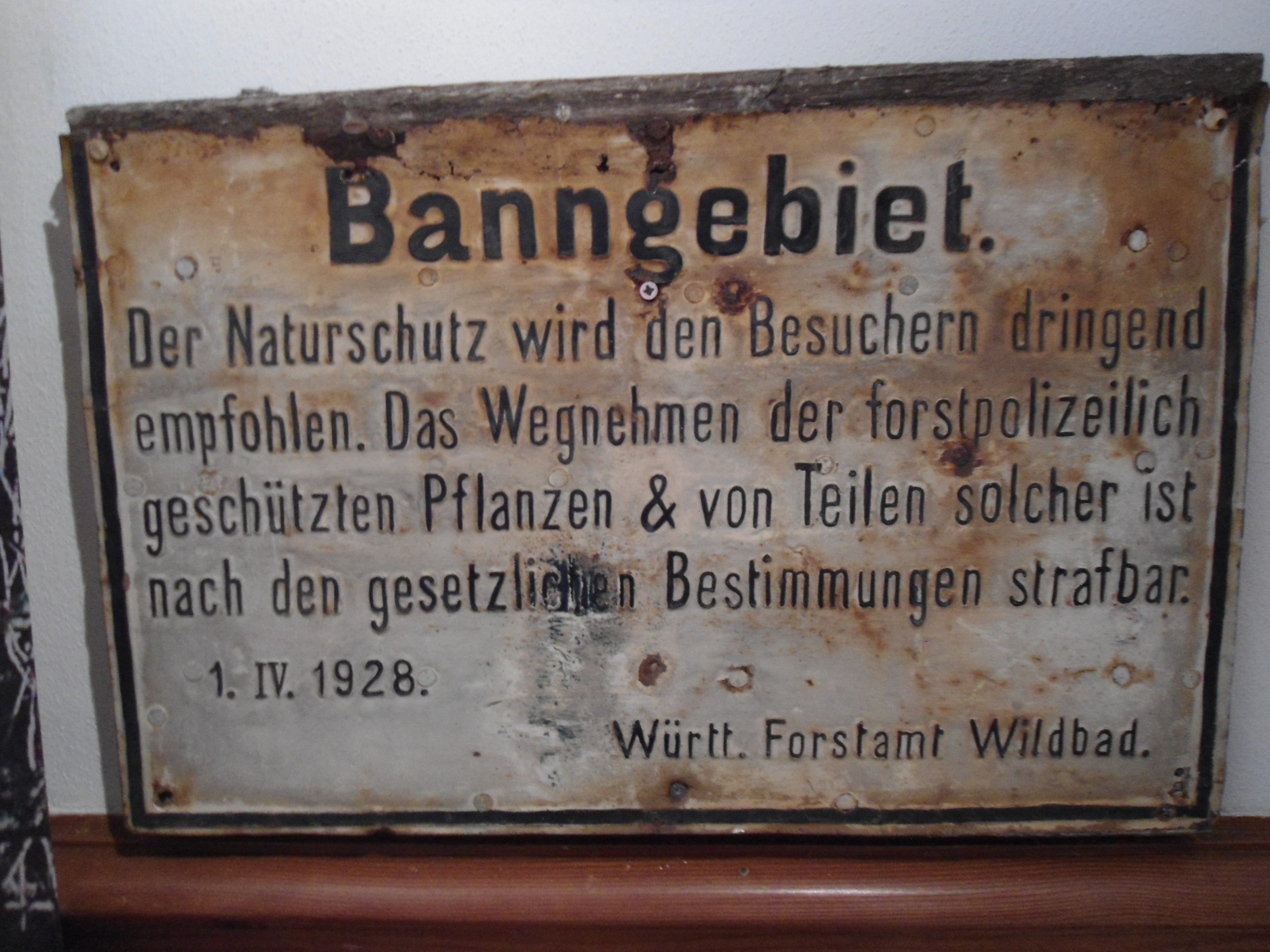 B2 Historisches Hinweisschild Bannwald.JPG