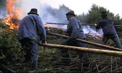 Rekonstruktion des Reutebrennen (Rüttibrennen) im Schwarzwald (in Vorderlehengericht/Schwarzwald, August 2002)