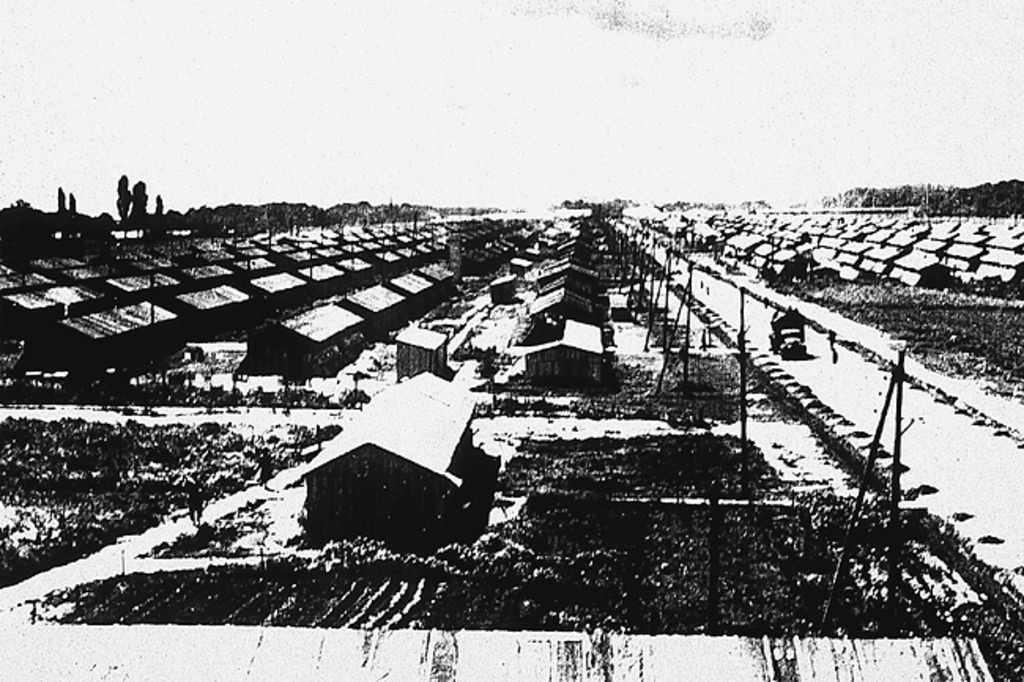 b21.jpg