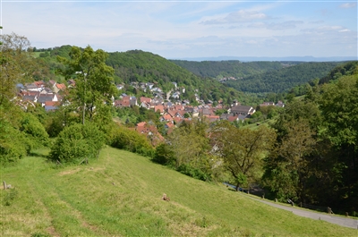 Blick auf Rexingen