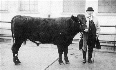 Der Rexinger Viehhändler und Landwirt Max Pressburger