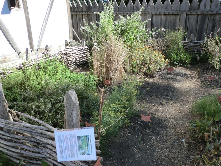 mini_B_26_Blick_in_den_Garten.jpg