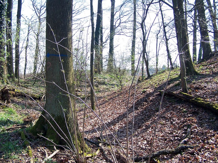 b6.jpg