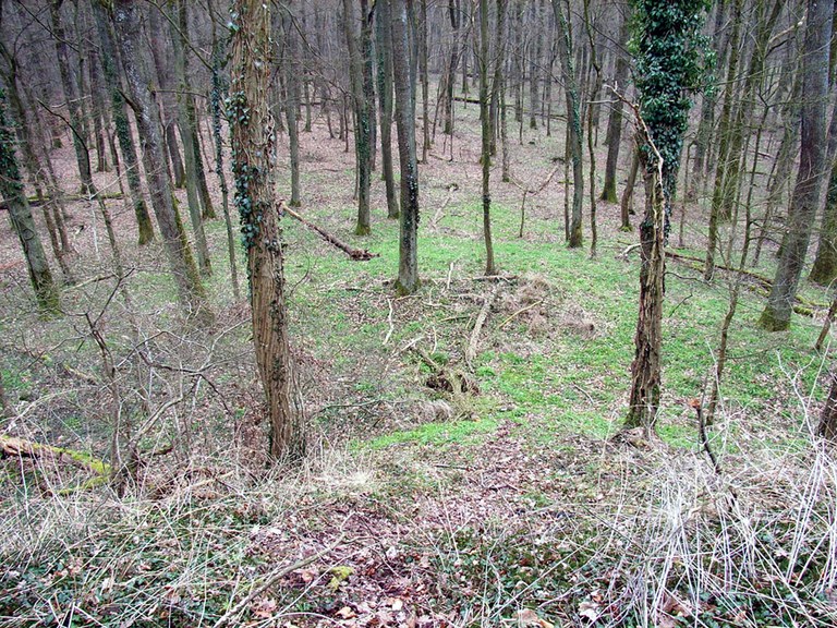 b15.jpg
