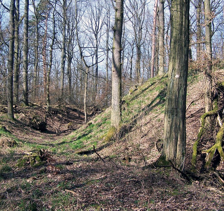 b3.jpg