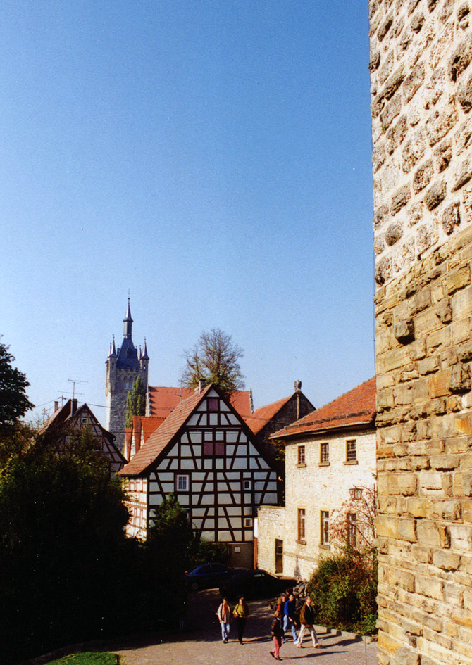 b31.jpg