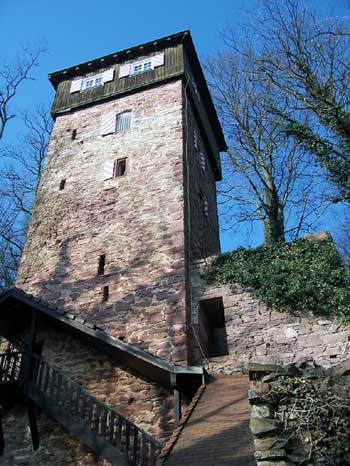 Burg Dauchstein bei Binau am Neckar