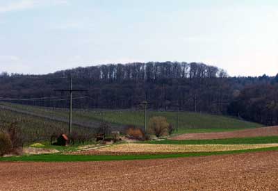 Blick von Schwaigern (Kr. Heilbronn) Richtung Südosten zur Harchenburg und den Höhen des Heuchelberges