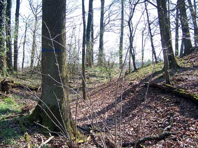 Der innere Graben und Wall der Harchenburg