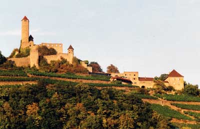 Burg Hornberg am Neckar