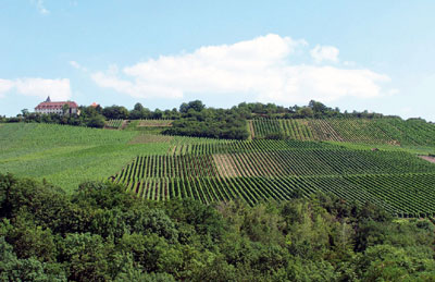 Michaelsberg bei Cleebronn