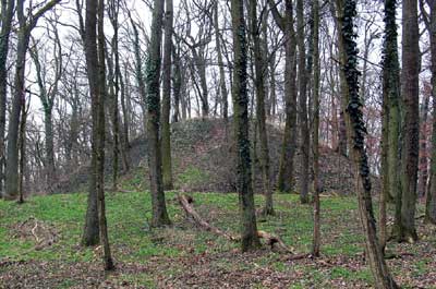 Großmotte Wigoldesberg bei Östringen-Odenheim 