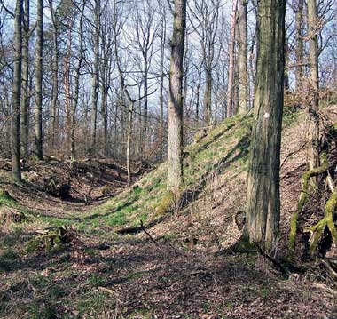 Wälle und Gräben der 