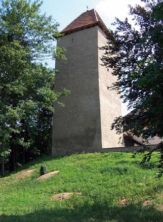 Turm der Burg Stein bei Königsbach 