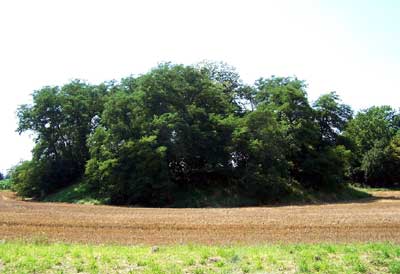 Motte bei Ubstadt-Weiher (Kr. Karlsruhe)