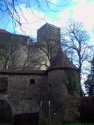 Die Schildmauer schützte die Burg von der Bergseite.