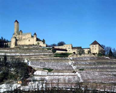 Burg Hornberg über dem Neckartal