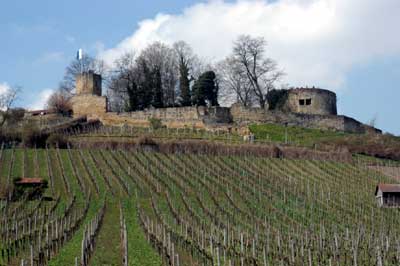 Burgruine Weibertreu