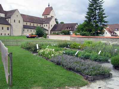 Der wieder angelegte Kräutergarten auf der Nordseite des Mittelzeller Münsters