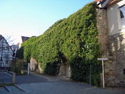 Historischer Teil der Stadtmauer