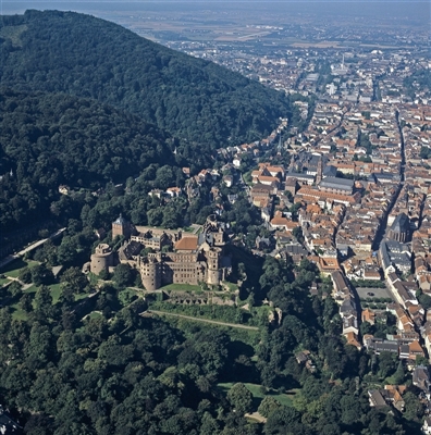 Schloss und Altstadt von Osten