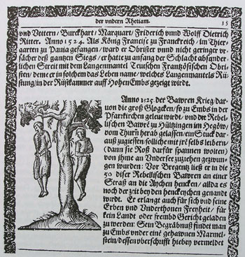 Erhängte Bauernführer bei Bregenz Ausschnitt aus der Bregenzer Chronik von 1616