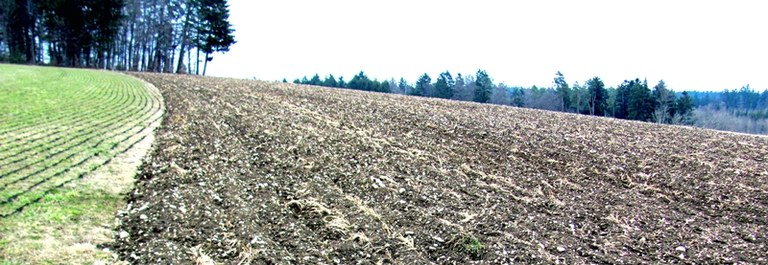 b4.jpg