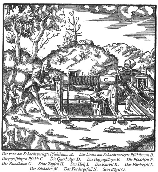 B11.jpg