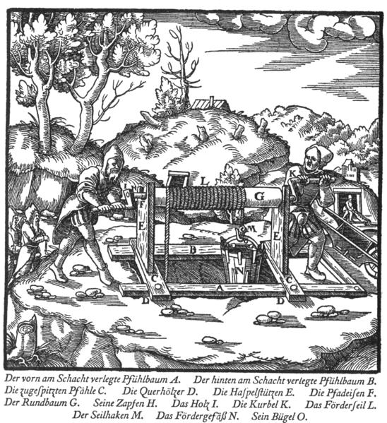 B11.jpg