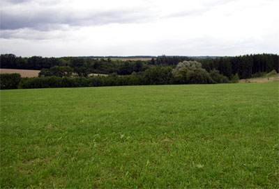 Die Schönhardter Heide, im Volksglauben und der Sage nach ein Hexentanzplatz.