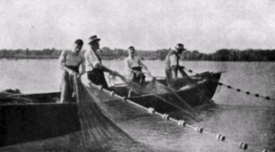 Zugnetzfischer am Untersee um 1900