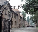 auschwitz_LMZ603558.jpg